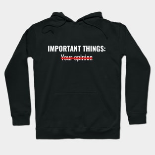 Important things Hoodie